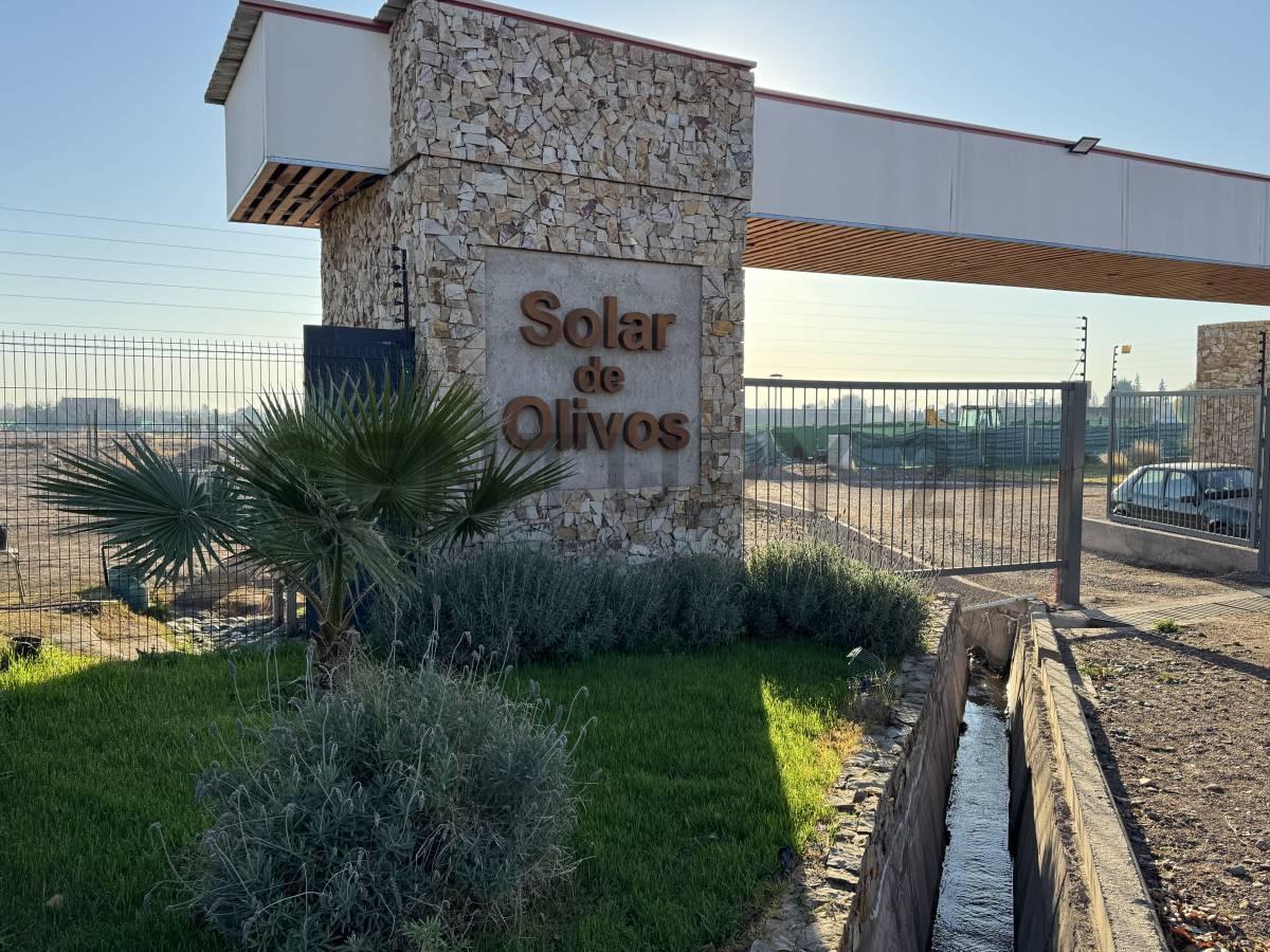 Foto de Lote en venta Barrio Solares de Olivos, imagen 3