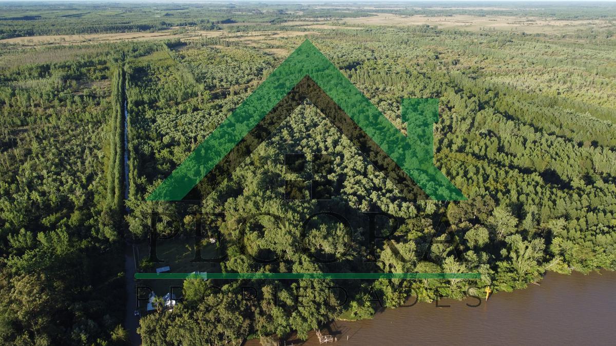 Foto de TERRENO - ISLA - RIO PARANA A METROS DE PUERTO ESCOBAR, imagen 5