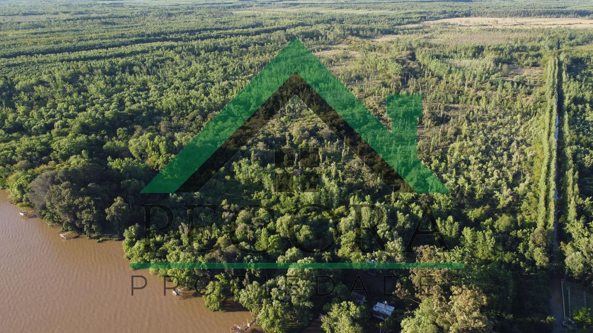 Foto de TERRENO - ISLA - RIO PARANA A METROS DE PUERTO ESCOBAR, imagen 5