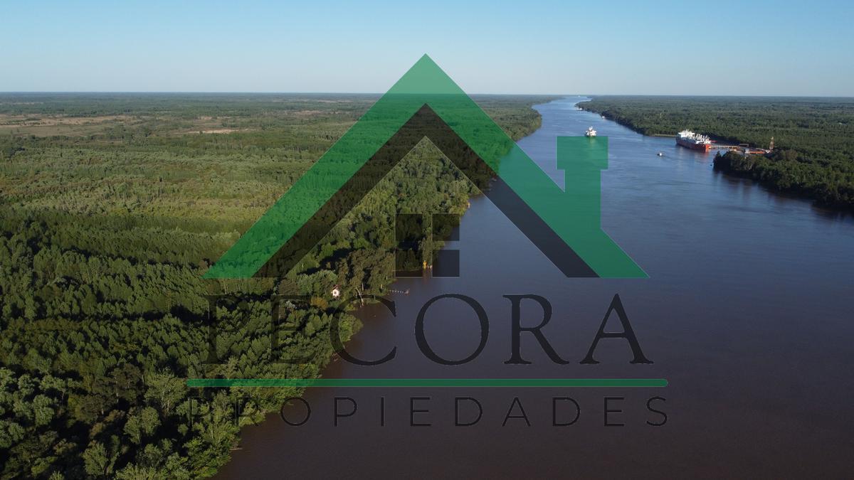 Foto de TERRENO - ISLA - RIO PARANA A METROS DE PUERTO ESCOBAR, imagen 4