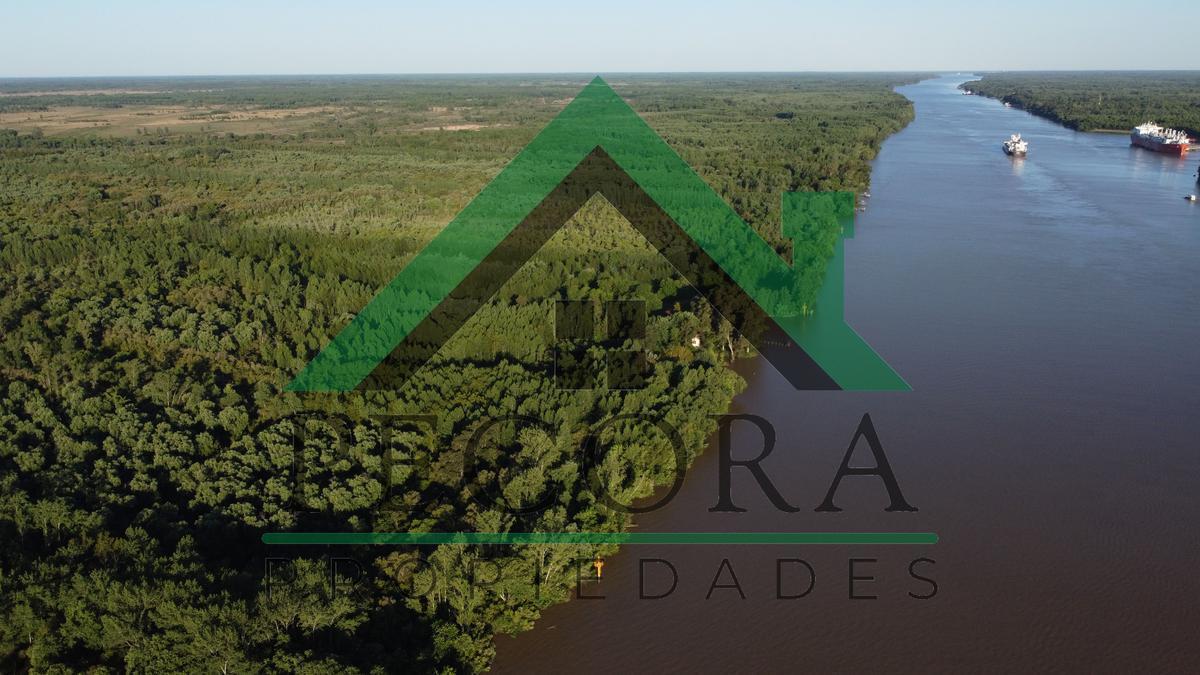 Foto de TERRENO - ISLA - RIO PARANA A METROS DE PUERTO ESCOBAR, imagen 1