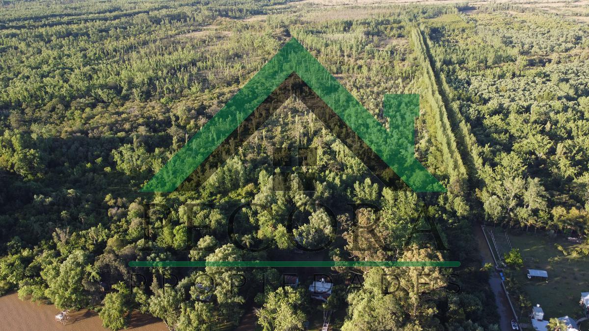 Foto de TERRENO - ISLA - RIO PARANA A METROS DE PUERTO ESCOBAR, imagen 2