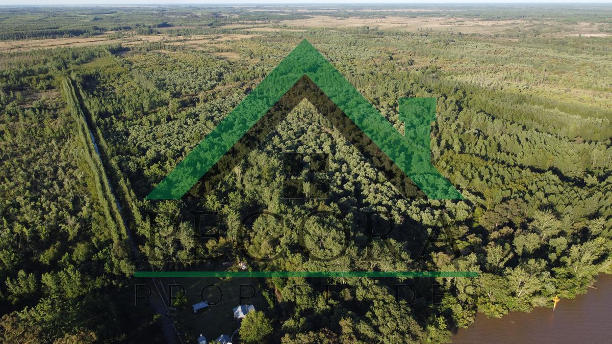 Foto de TERRENO - ISLA - RIO PARANA A METROS DE PUERTO ESCOBAR, imagen 4