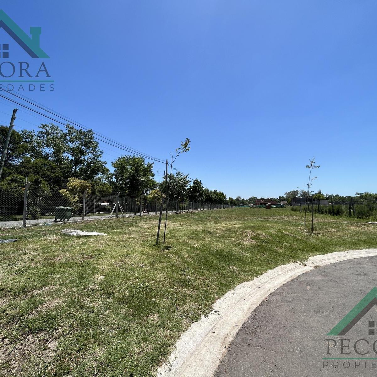 Terreno - Lote - Pilar del este - Santa Elisa - Lote 72 - Perimetral