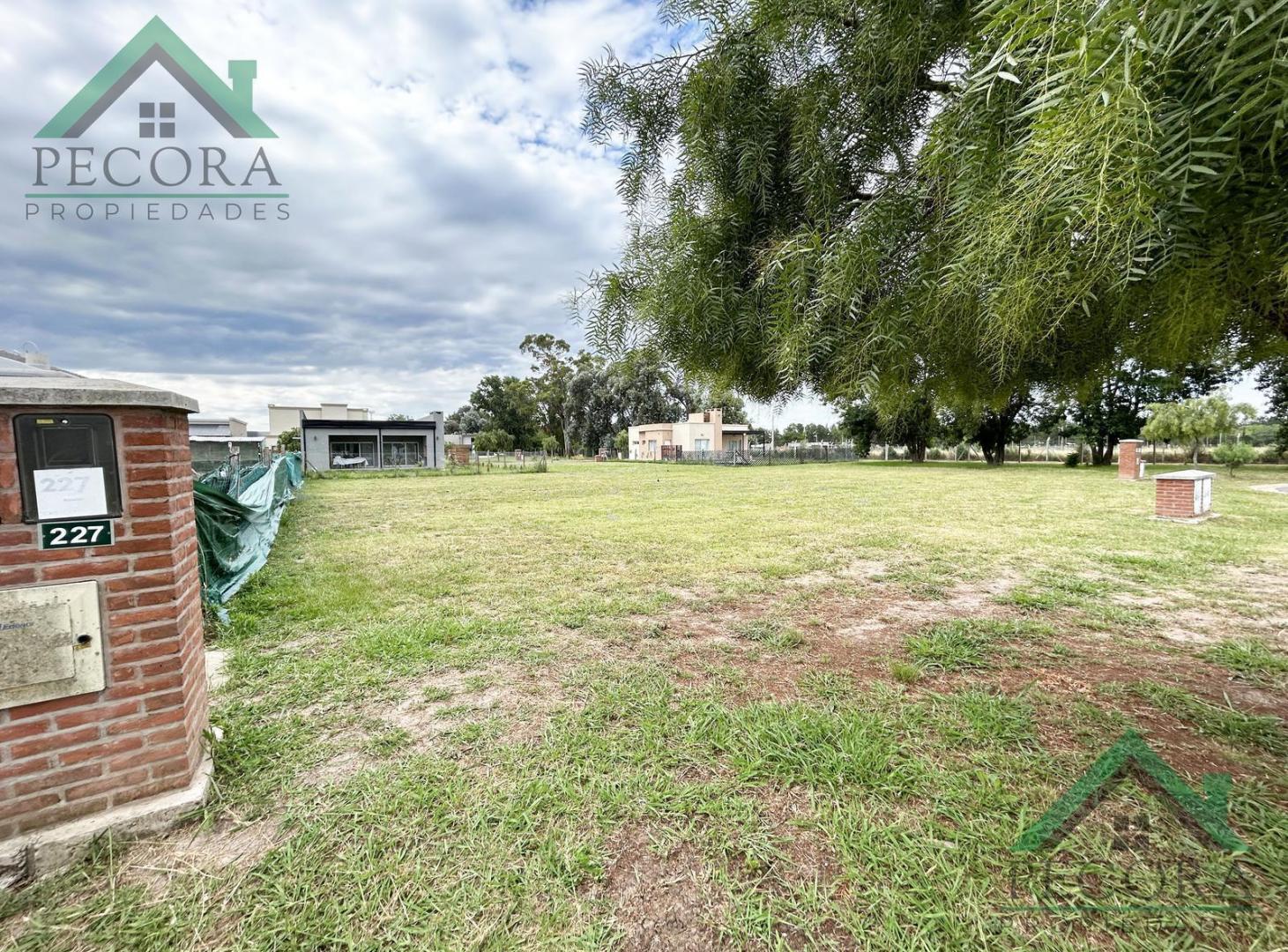 Terreno - Lote interno - Pilar del este - San Ramon - Lote 227