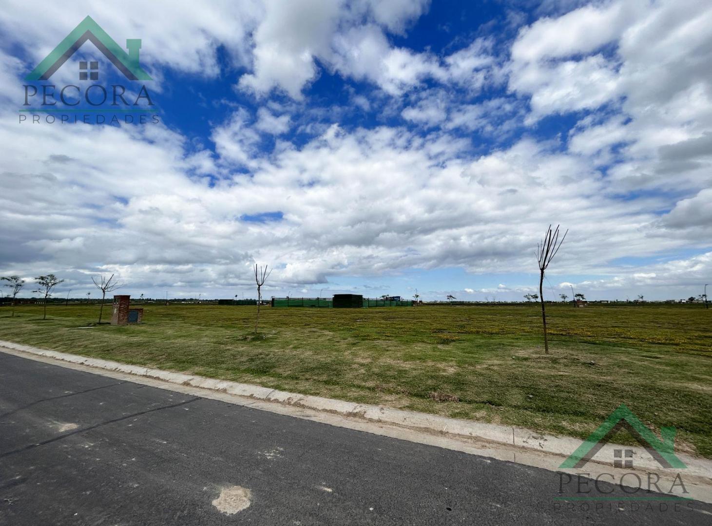Lote - Puertos del lago - Amarras - interno - Lote 290