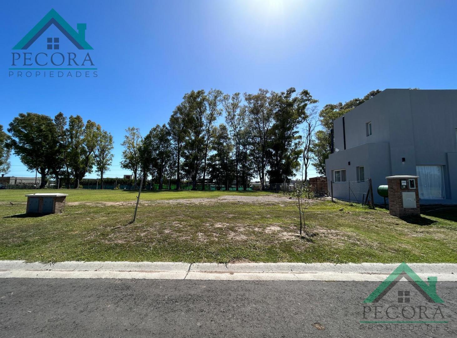 Terreno - Lote - Pilar del este - Santa Elisa - Lote 248