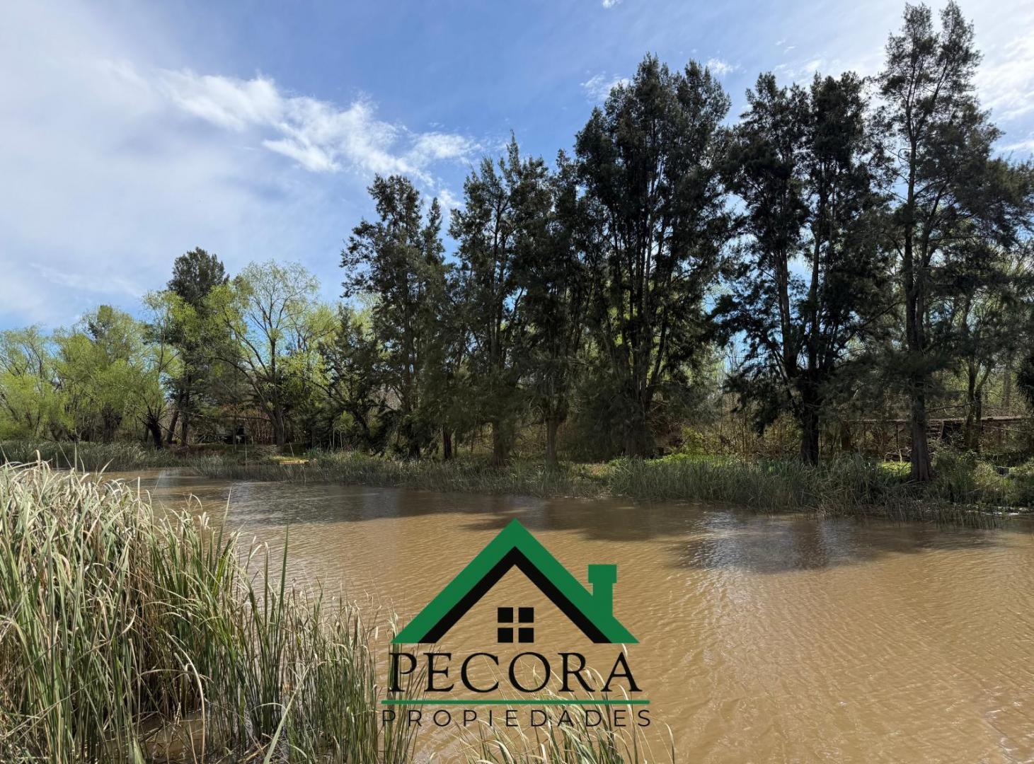 Foto de Campo - Isla - Rio Lujan - Belen de Escobar, imagen 2