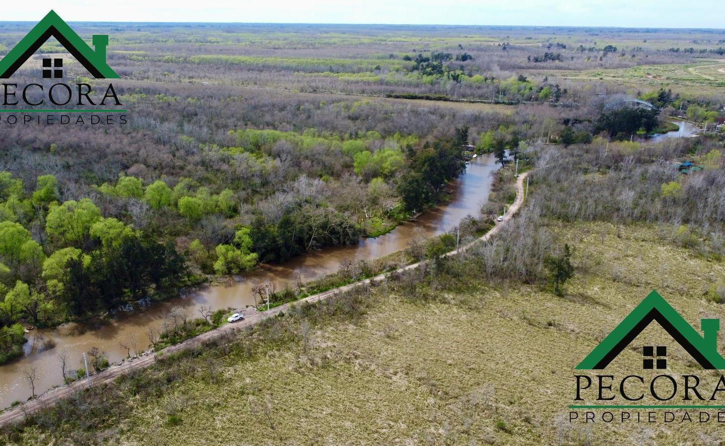 Foto de Campo - Isla - Rio Lujan - Belen de Escobar, imagen 5