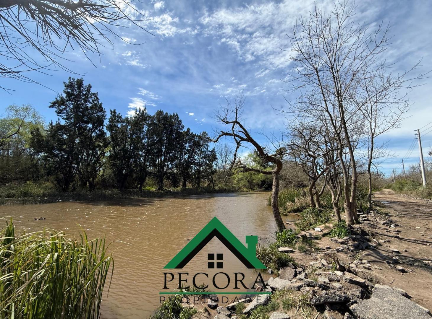 Foto de Campo - Isla - Rio Lujan - Belen de Escobar, imagen 4