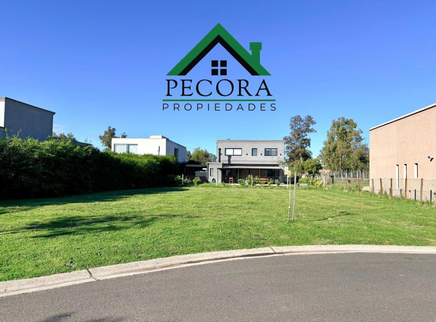 Foto de Terreno - Santa Emilia - Lote 108 - Lote interno - Pilar del Este, imagen 2