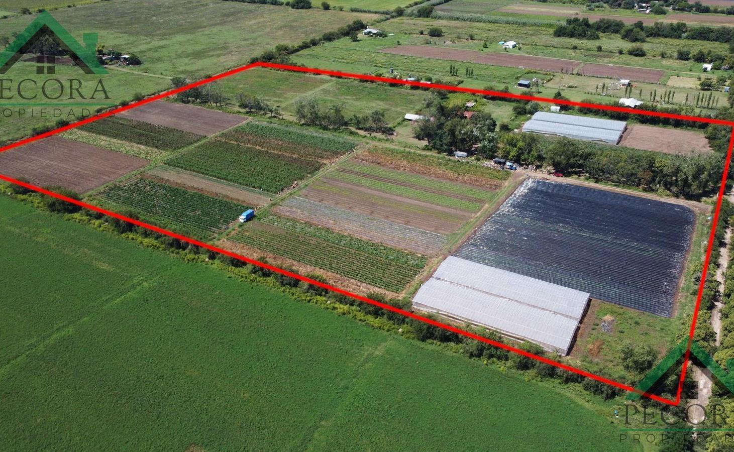 Foto de Campo 8,43ha - Terreno - Escobar - San Lorenzo - General Paz., imagen 3