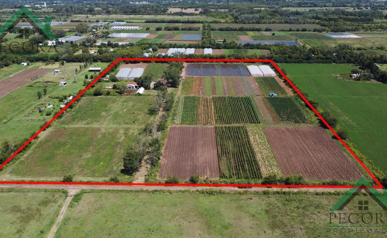 Foto de Campo 8,43ha - Terreno - Escobar - San Lorenzo - General Paz., imagen 5