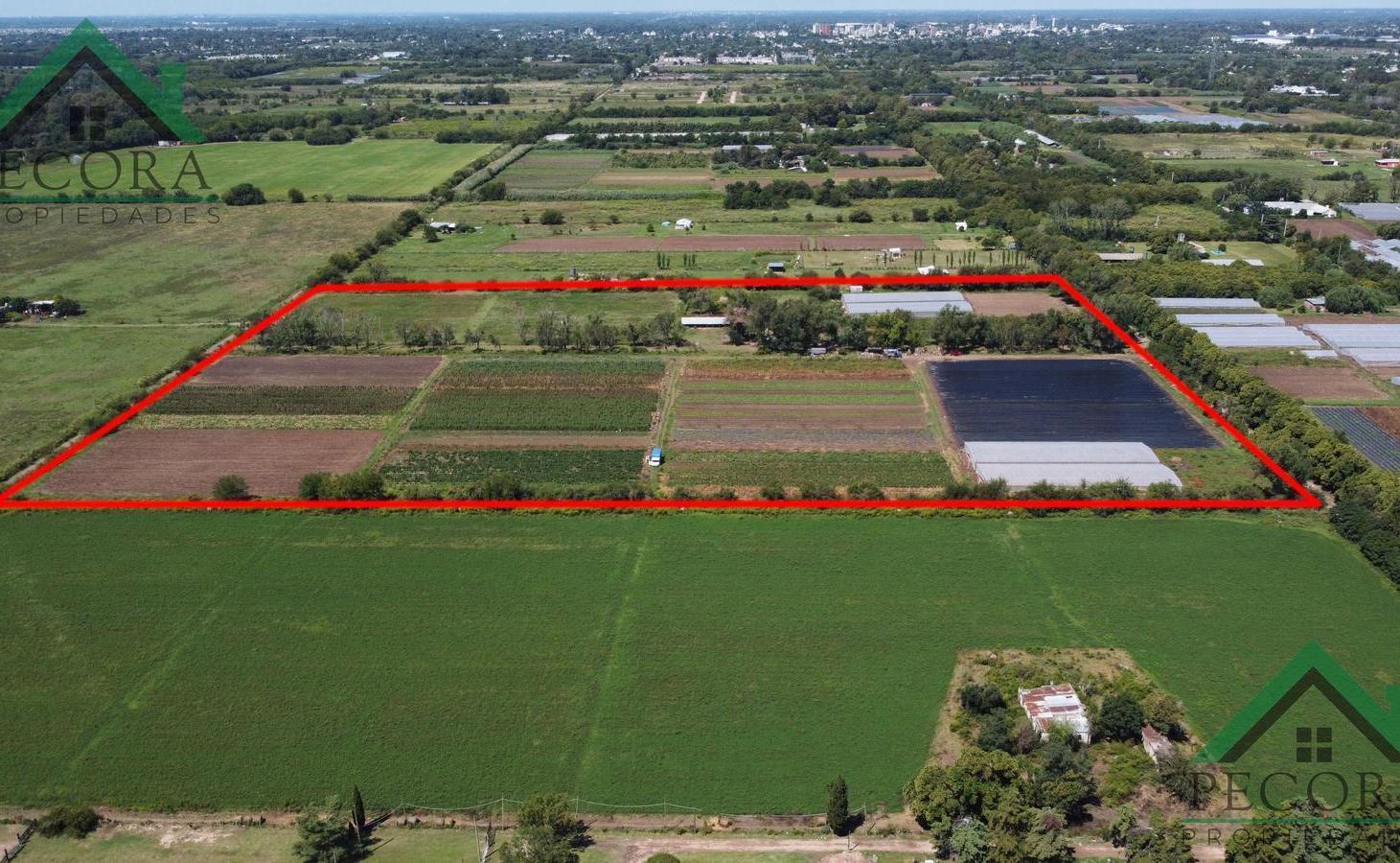 Foto de Campo 8,43ha - Terreno - Escobar - San Lorenzo - General Paz., imagen 4