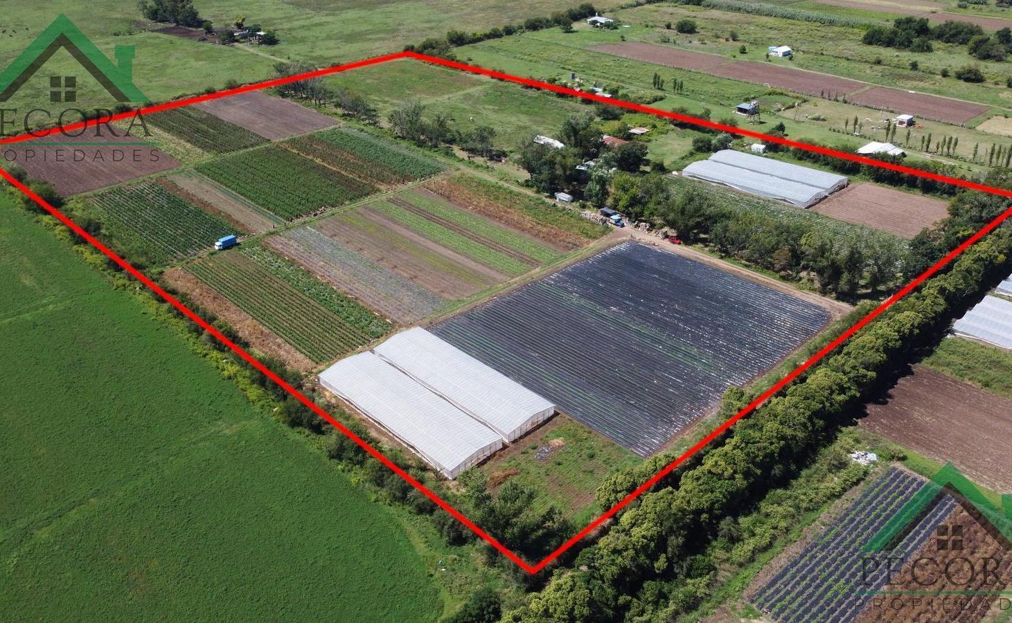 Foto de Campo 8,43ha - Terreno - Escobar - San Lorenzo - General Paz., imagen 1