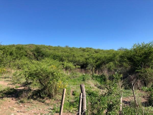 Campo en Sierras Chicas - 6 Ha a 20 Minutos del Aeropuerto! Bajamos Los Precios! Dos 5
