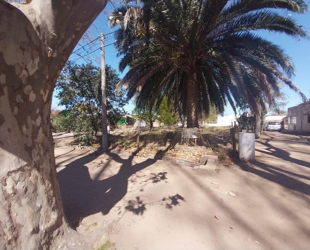 Venta de Dos Lotes - Av San Martín y Esq. Calle 15 (Sur) Colonia Caroya 5