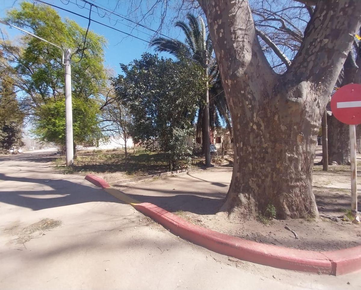 Venta de Dos Lotes - Av San Martín y Esq. Calle 15 (Sur) Colonia Caroya 3