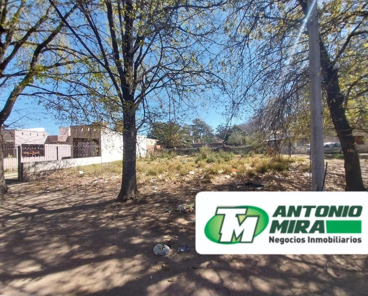 Venta de Dos Lotes - Av San Martín y Esq. Calle 15 (Sur) Colonia Caroya 4