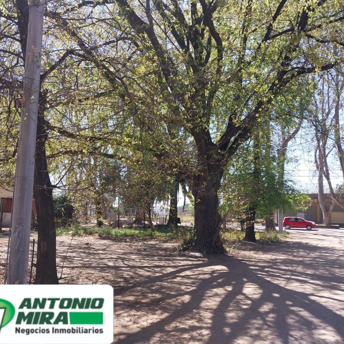 Venta de Dos Lotes - Av San Martín y Esq. Calle 15 (Sur) Colonia Caroya 2