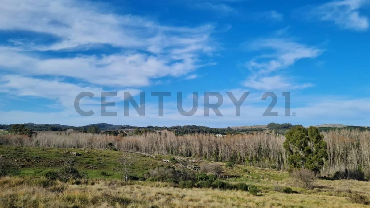 Venta de Lote en El Barrio Entre Sierras de Tandil 2