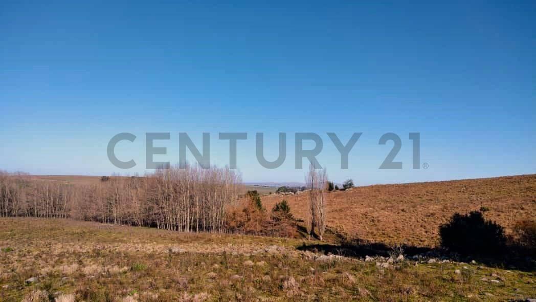 Venta de Esplendida Chacra de 11,4 Hectáreas a m de La Ruta 30 5