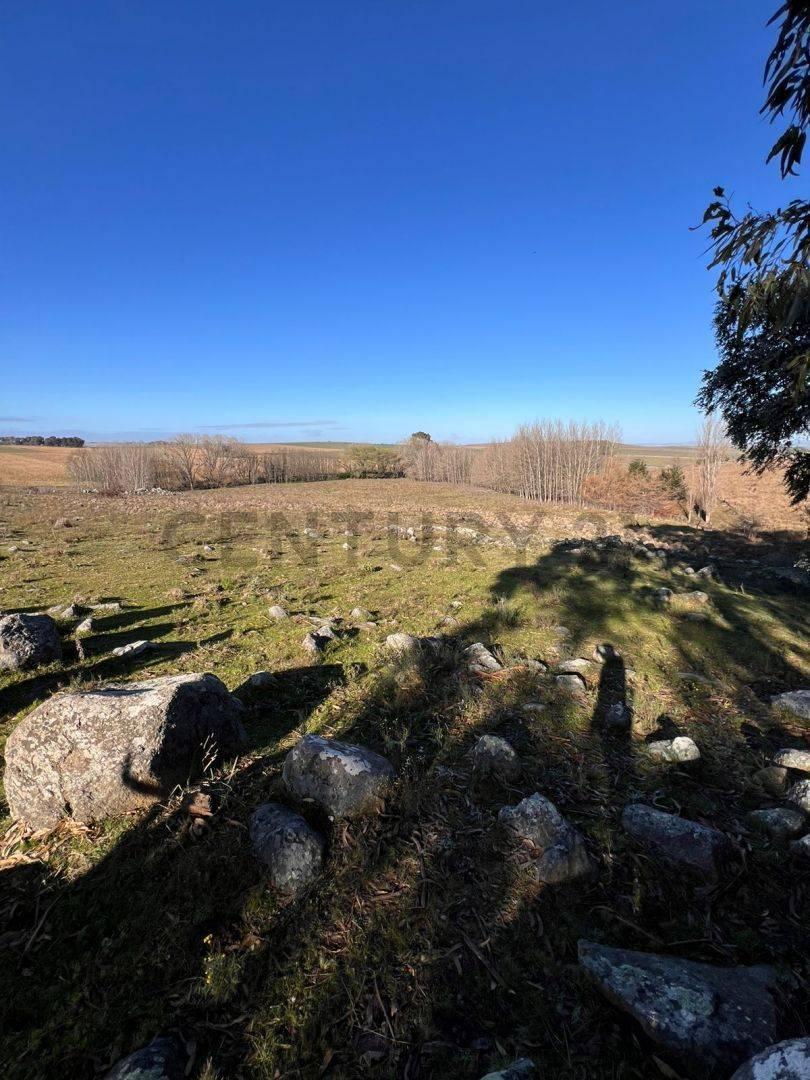 Venta de Esplendida Chacra de 11,4 Hectáreas a m de La Ruta 30 4