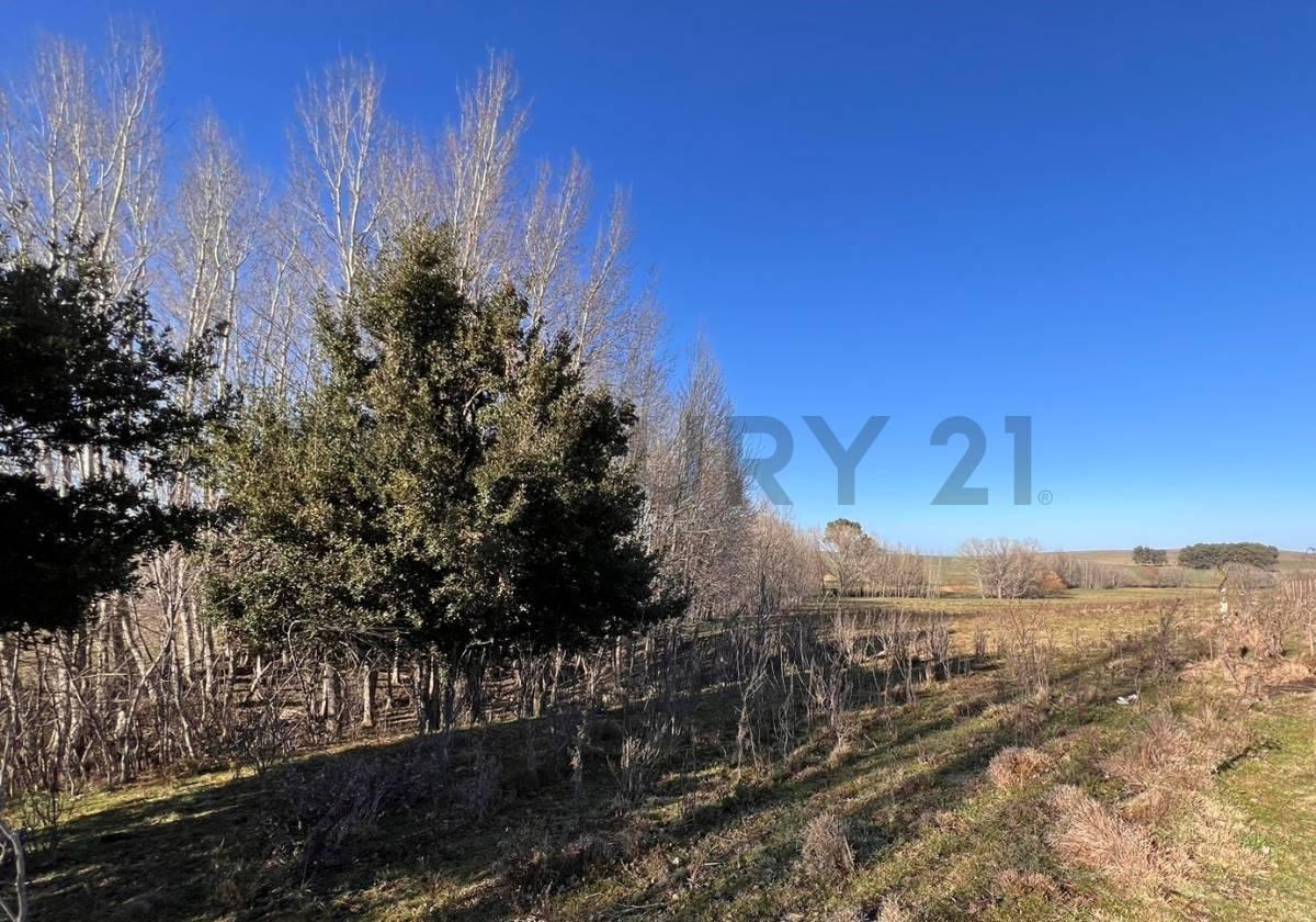 Venta de Esplendida Chacra de 11,4 Hectáreas a m de La Ruta 30 2