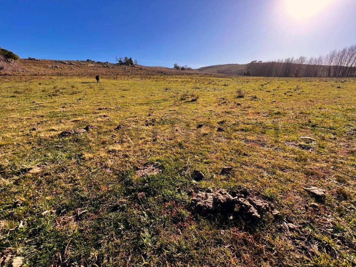 Venta de Esplendida Chacra de 11,4 Hectáreas a m de La Ruta 30 1