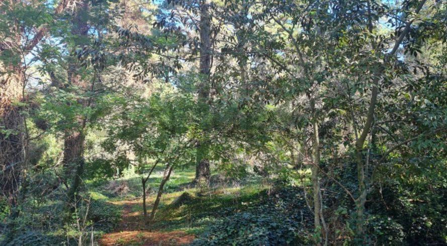 Venta o Permuta de 15 Hectáreas en Zona Turística de Tandil 4