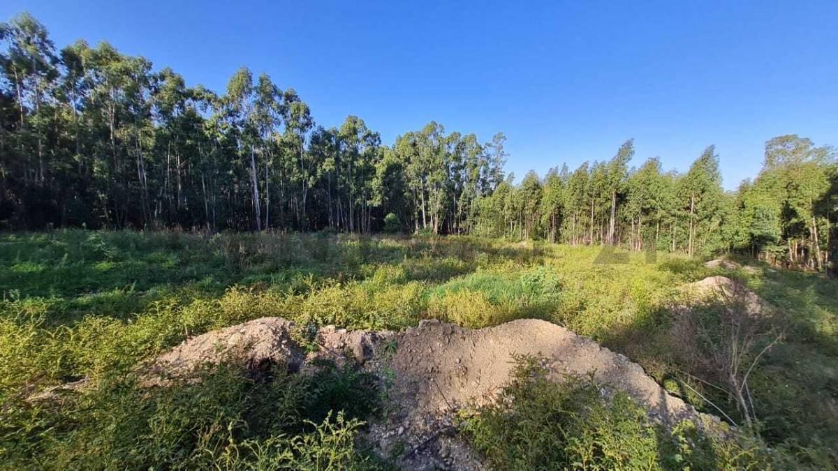 Venta de Excelente Lote en Tandil 4