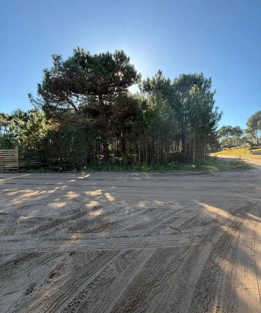 Lote en venta Pinamar. Barrio Alamos II. Sobre Av. Alamos 5
