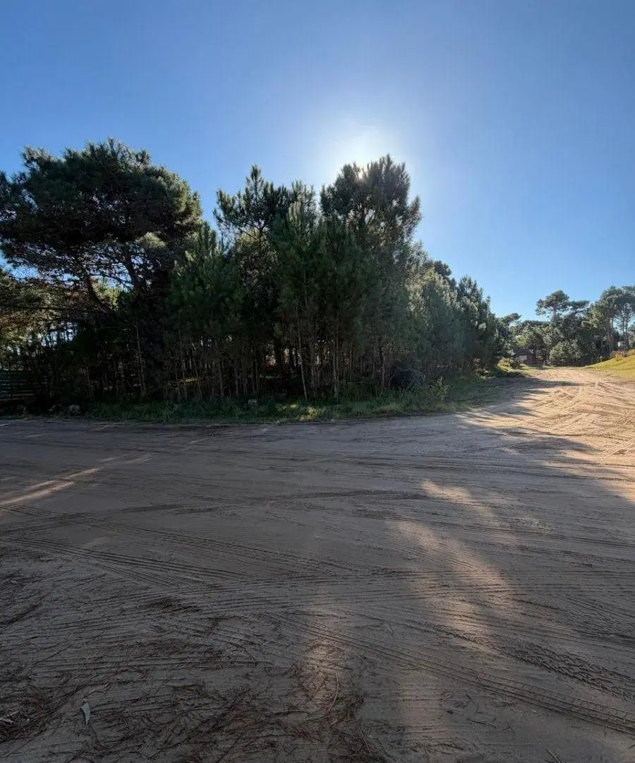 Lote en venta Pinamar. Barrio Alamos II. Sobre Av. Alamos 7