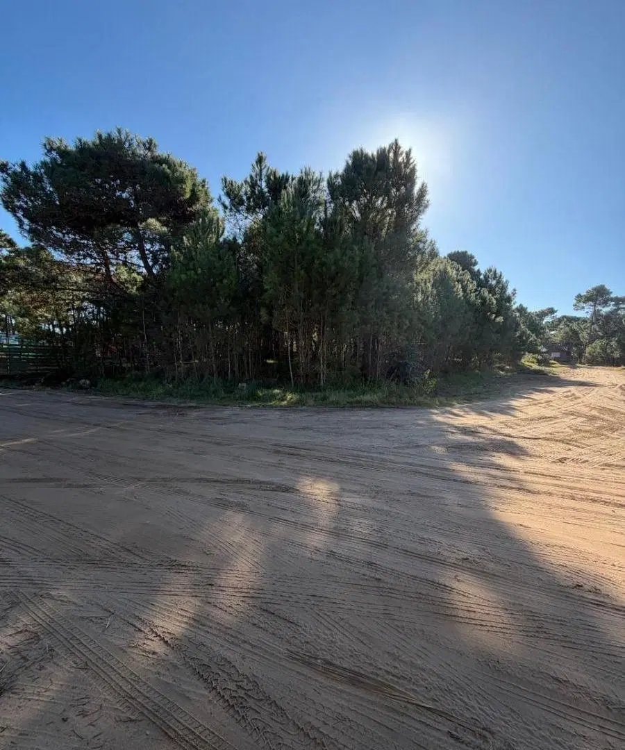 Lote en venta Pinamar. Barrio Alamos II. Sobre Av. Alamos 1