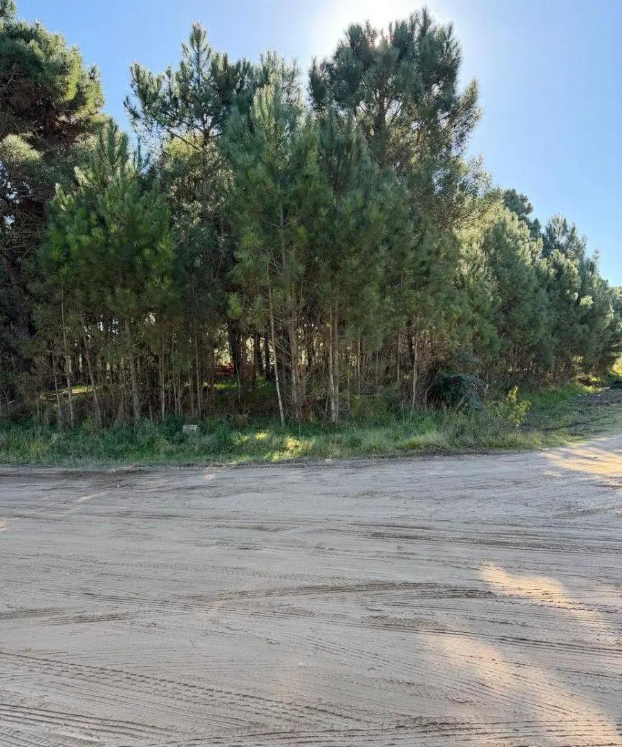 Lote en venta Pinamar. Barrio Alamos II. Sobre Av. Alamos 4