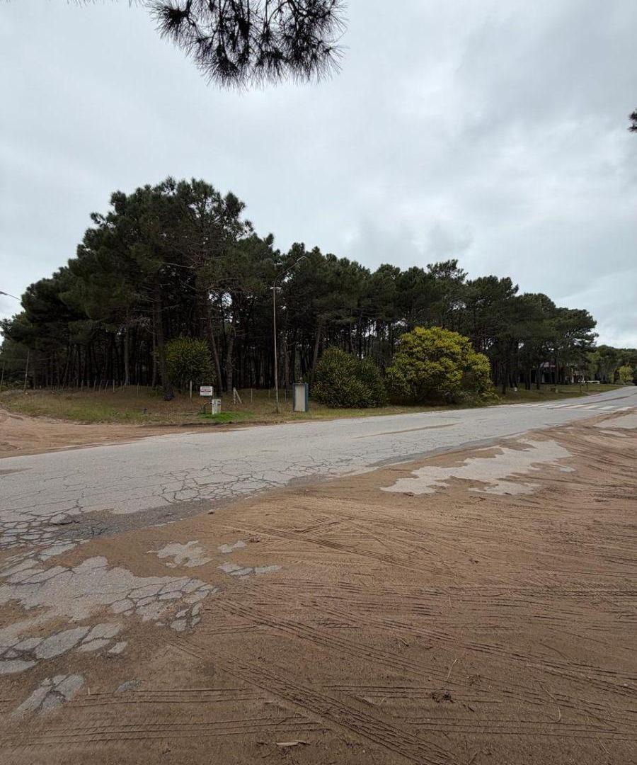 Foto de VENTA DE LOTES EN PINAMAR NORTE, imagen 5