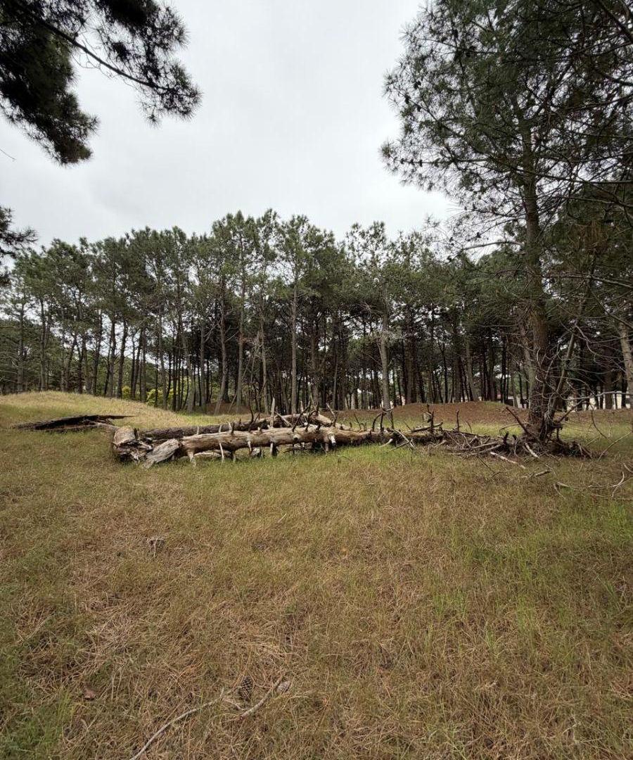 Foto de VENTA DE LOTES EN PINAMAR NORTE, imagen 2