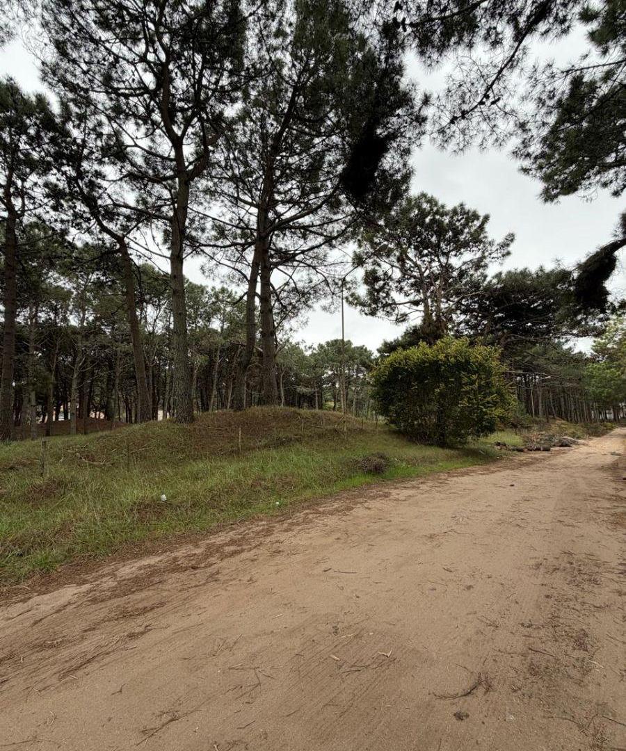 Foto de VENTA DE LOTES EN PINAMAR NORTE, imagen 4