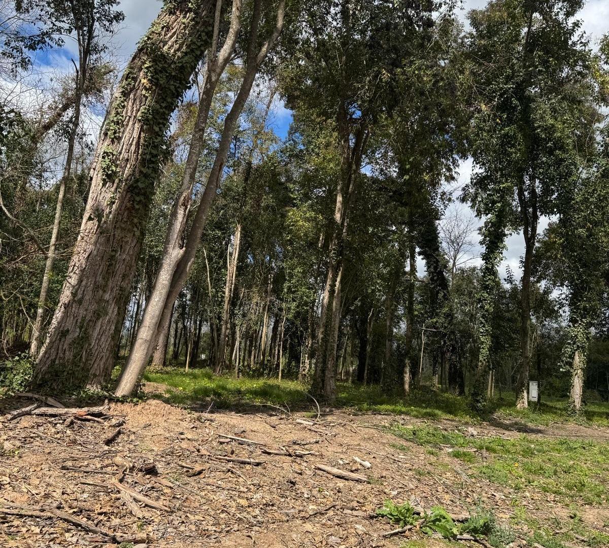 Foto de Terreno a la venta en Reserva Fincas, imagen 4