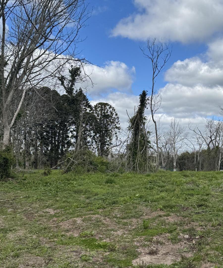 Foto de Terreno en Reserva Fincas, imagen 1