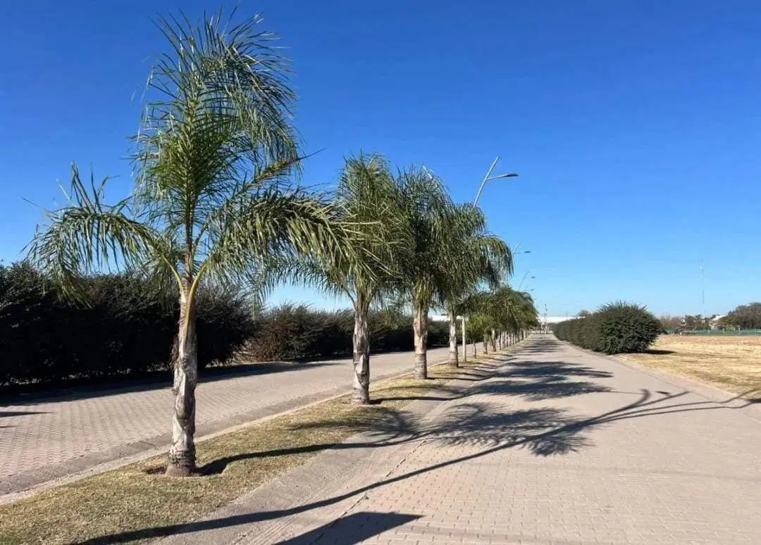 Lote central en Acquavista 5