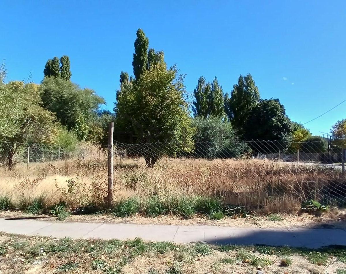 Gran Terreno Centrico Sobre Esquina en Junin de Los Andes - Neuquen 4