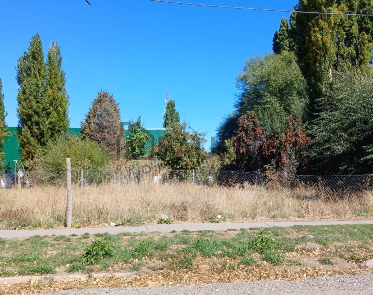Gran Terreno Centrico Sobre Esquina en Junin de Los Andes - Neuquen 3