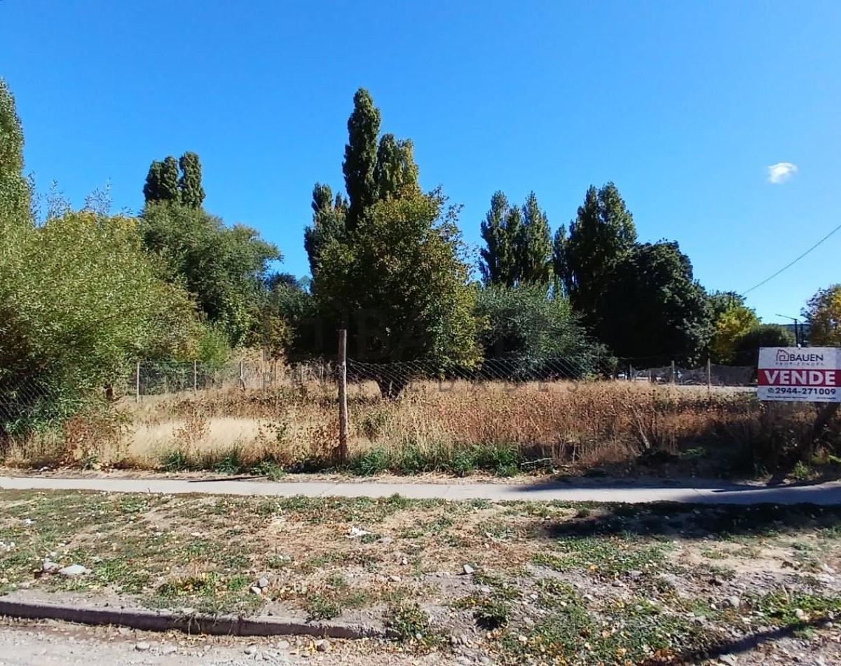 Gran Terreno Centrico Sobre Esquina en Junin de Los Andes - Neuquen 5