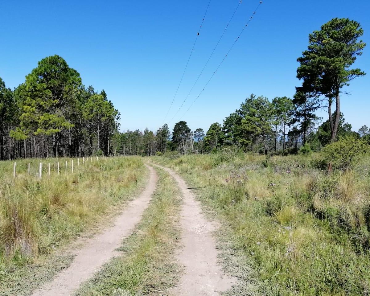 Vendo 10 Ha en Yacanto 1