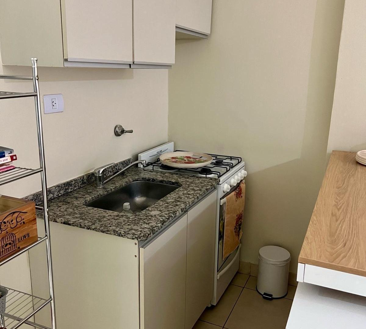 Foto de Departamento - Zona Sur, imagen 4