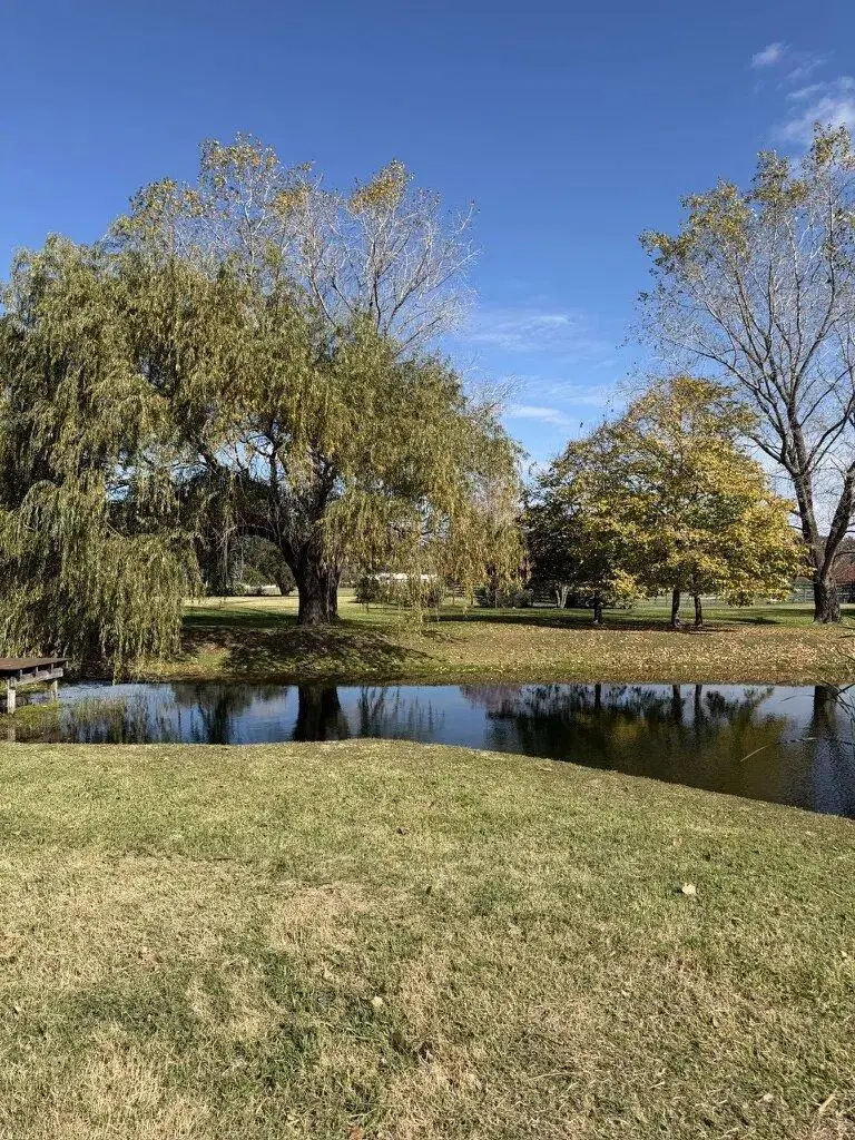Enorme Lote Interno En Venta En Condominio El Campo - Fincas Exclusivas, Cardales 5