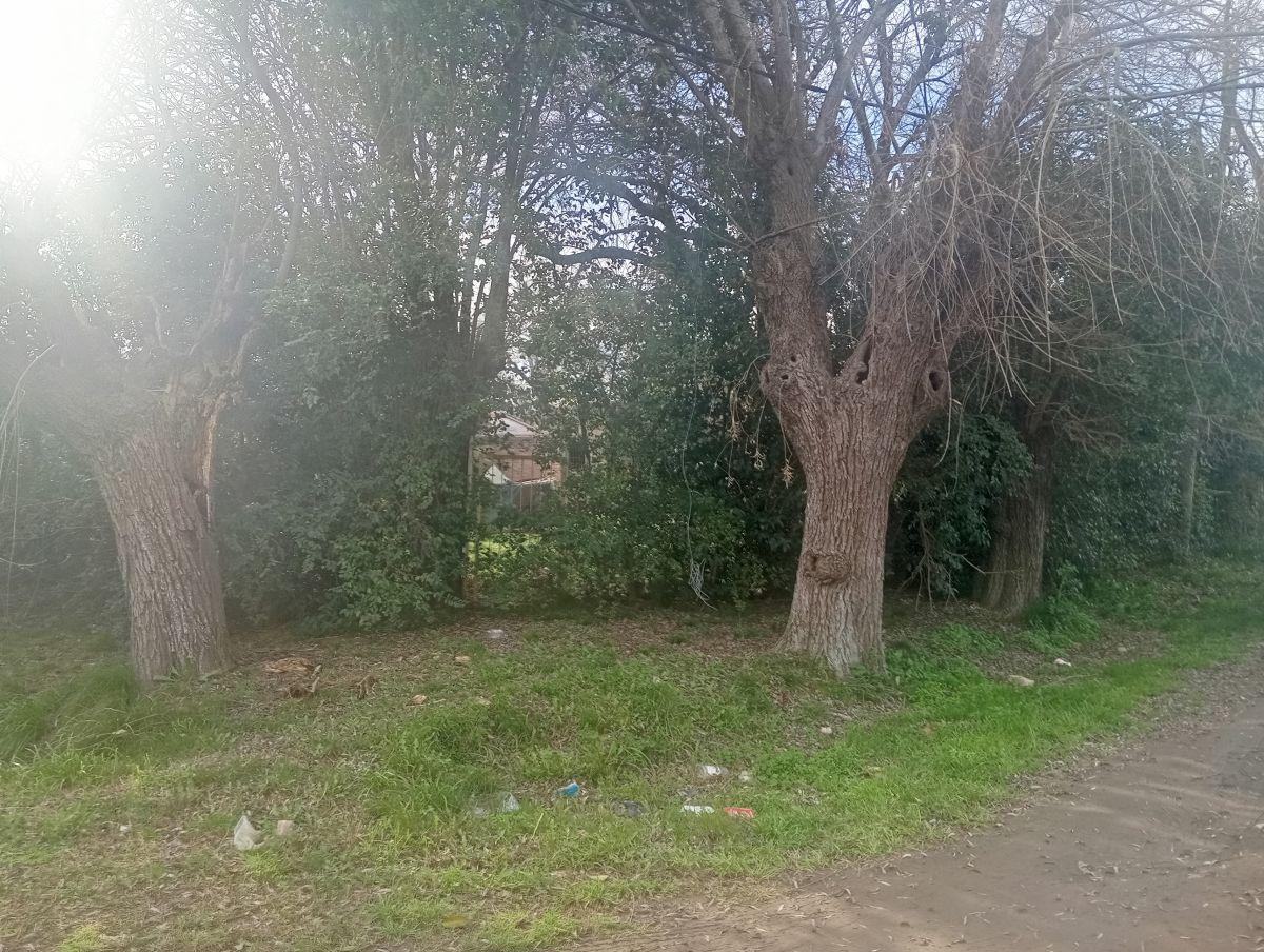 Foto de Terreno de 230 m² en venta en General Rodríguez, imagen 4