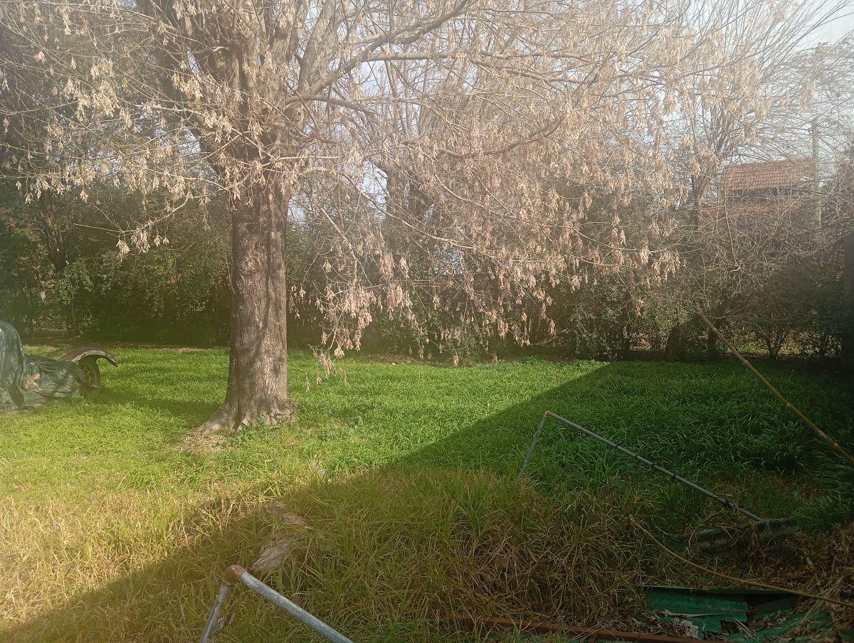 Foto de Terreno de 230 m² en venta en General Rodríguez, imagen 5