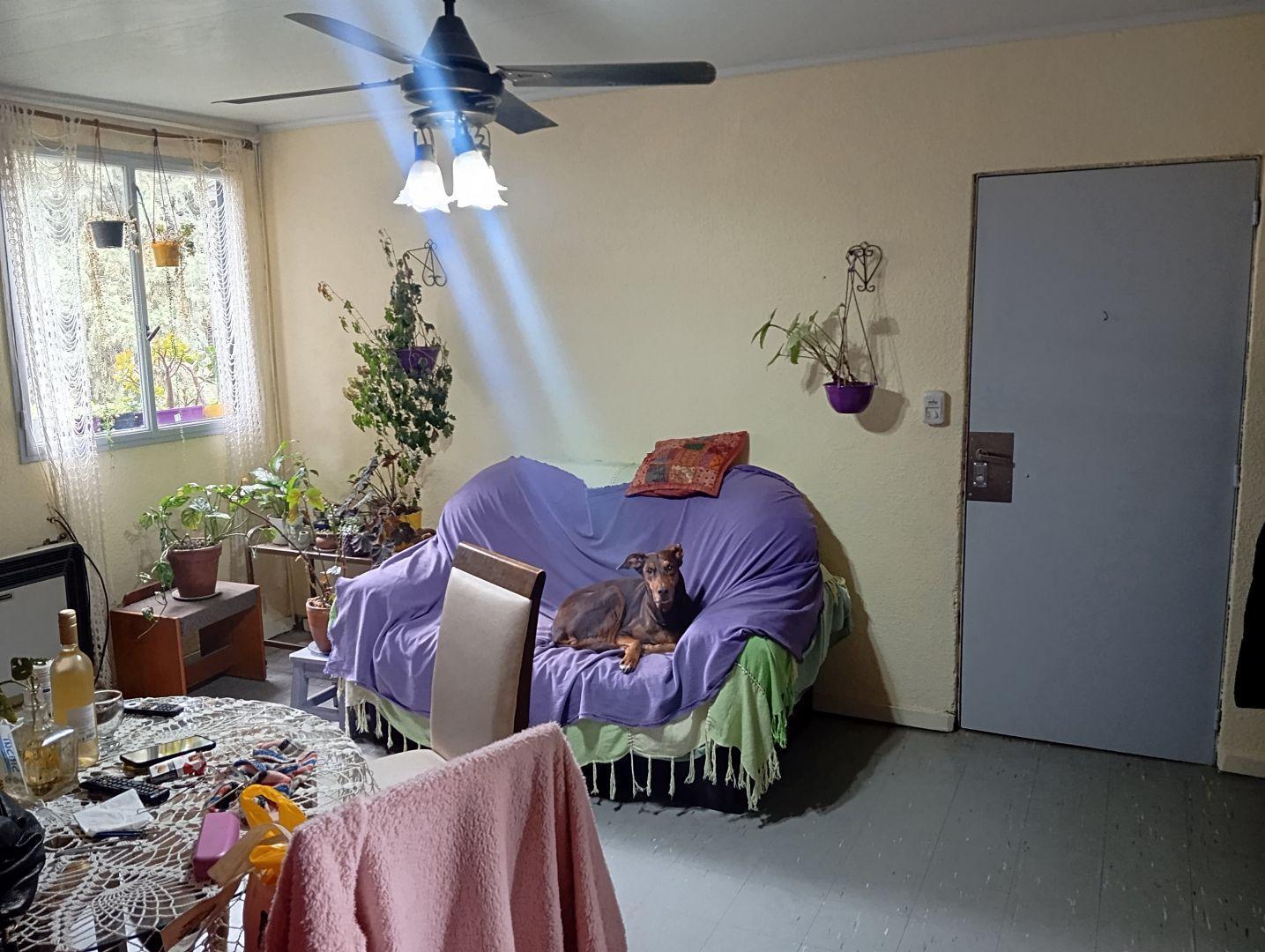 Foto de Departamento de 60 m² con 3 dormitorios en venta en Haedo, imagen 2